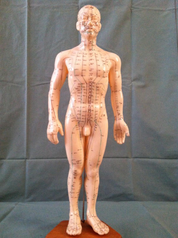 meridians, body, front